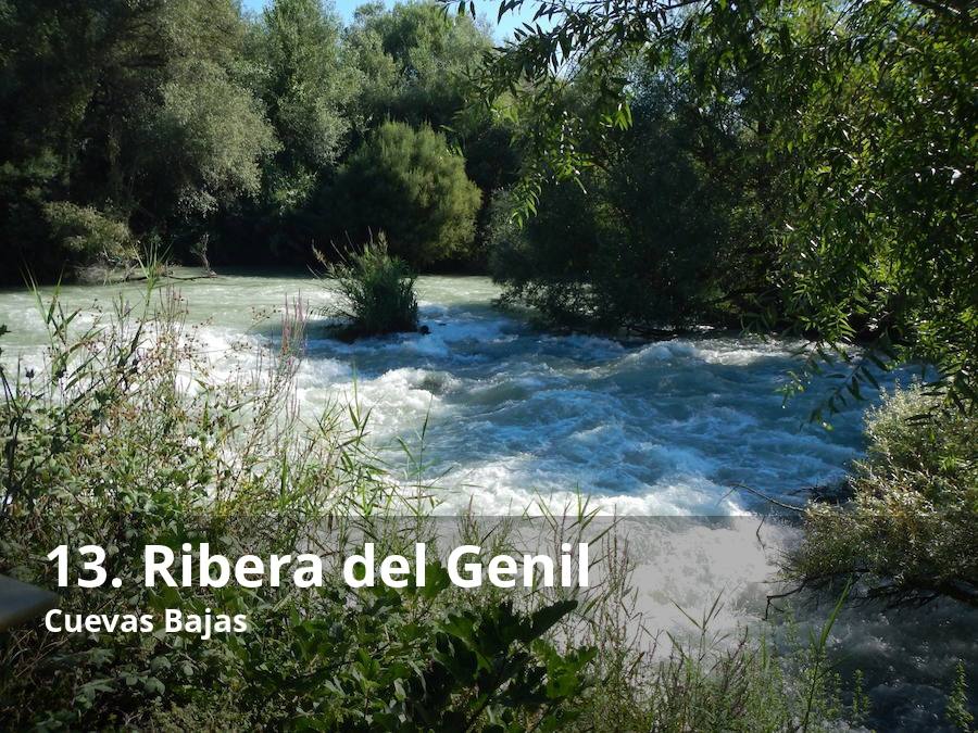 Este pueblo malagueño es uno de los que tiene acceso al Genil, el principal afluente del Guadalquivir. Sus aguas son generalmente bravas, gracias a los aportes que se hacen continuamente desde el pantano de Iznájar. Esto permite que allí se puedan realizar actividades tan singulares como el descenso en balsas o rafting con empresas de turismo activo homologada. Además, merece la pena acercarse a la ribera y pasear para descubrir este singular enclave natural y agrícola. En este último sentido, hay que reseñar que ésta es una de las pocas zonas de la Península Ibérica donde todavía hoy se cultiva la genuina zanahoria 'morá'. Lee el reportaje completo  aquí