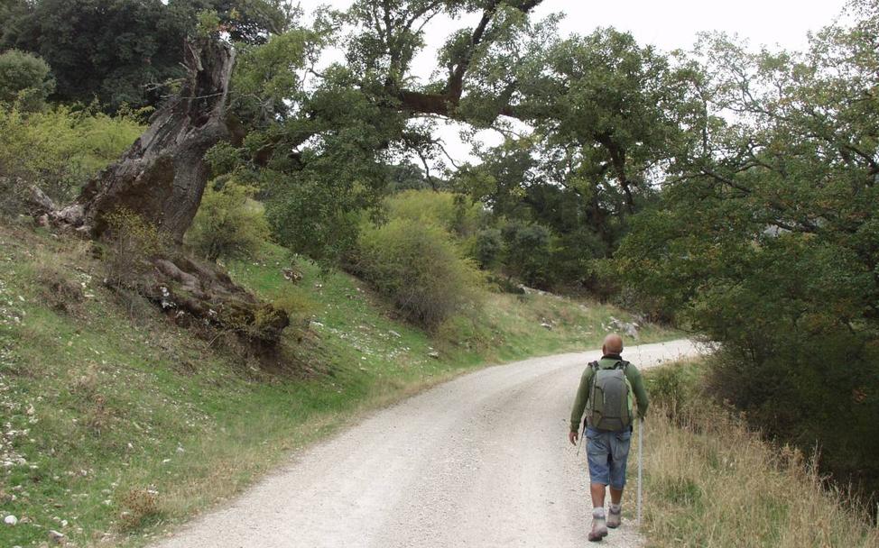 Llanos de Libar.