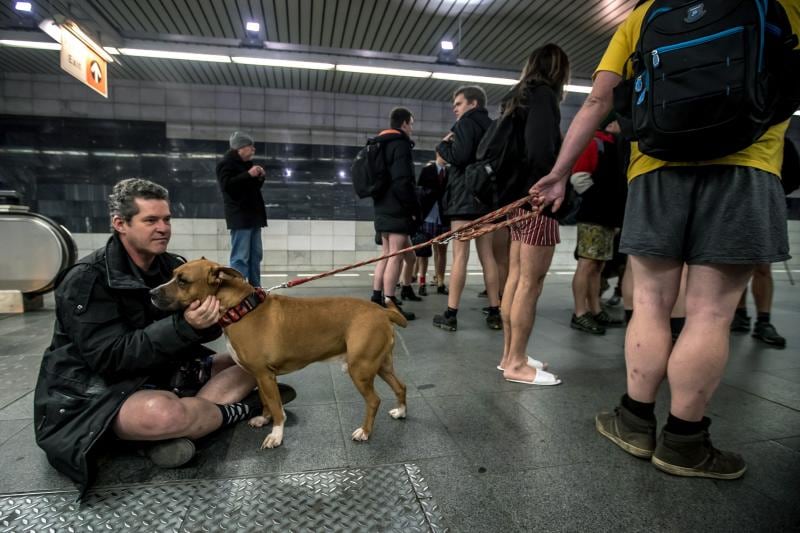 El evento 'No pants subway ride' ha dejado imágenes muy curiosas en Praga, donde la gente se ha quitado los pantalones para viajar en metro por simple diversión