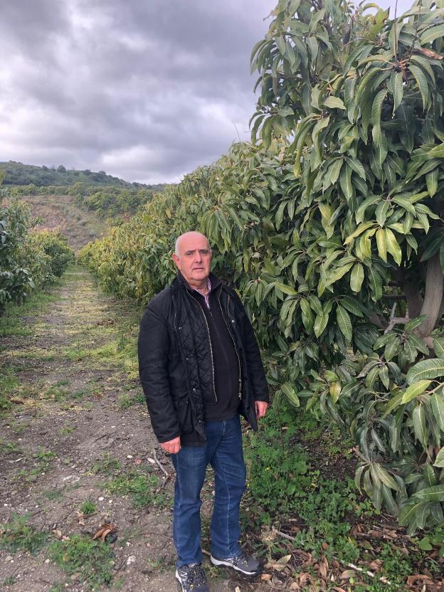 Javier Barun, presidente de la Asociación Española de Tropicales.
