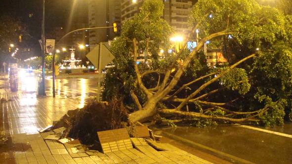 Ocurrió un 1 de febrero de 2009. Este fenómeno asustó a este barrio malagueño