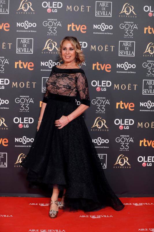 Las mejores imágenes de la alfombra roja y ceremonia de los premios de la Academia española de Cine en Sevilla. La 33ª edición de los premios Goya al cine español.