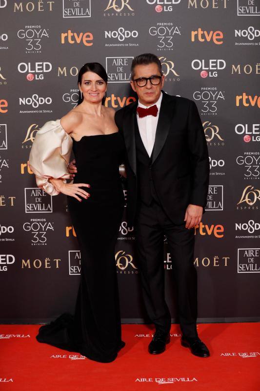 Las mejores imágenes de la alfombra roja y ceremonia de los premios de la Academia española de Cine en Sevilla. La 33ª edición de los premios Goya al cine español.