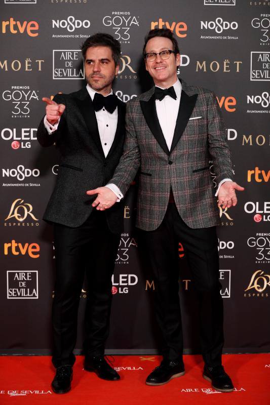 Las mejores imágenes de la alfombra roja y ceremonia de los premios de la Academia española de Cine en Sevilla. La 33ª edición de los premios Goya al cine español.