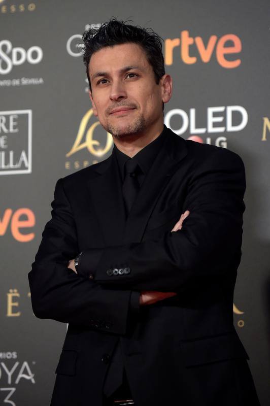 Las mejores imágenes de la alfombra roja y ceremonia de los premios de la Academia española de Cine en Sevilla. La 33ª edición de los premios Goya al cine español.