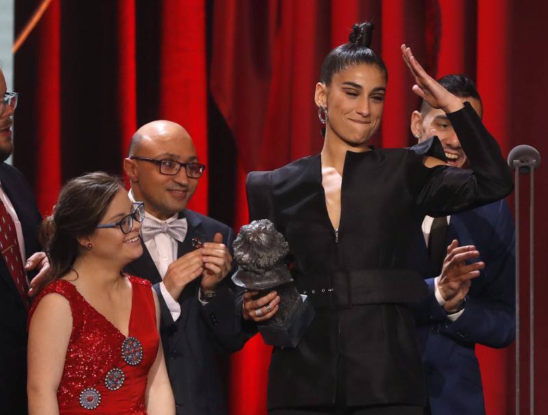 Las mejores imágenes de la alfombra roja y ceremonia de los premios de la Academia española de Cine en Sevilla. La 33ª edición de los premios Goya al cine español.