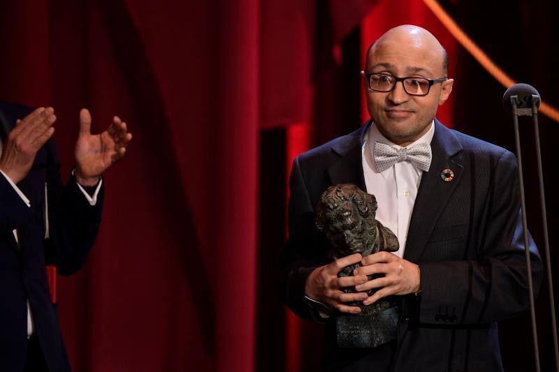 Las mejores imágenes de la alfombra roja y ceremonia de los premios de la Academia española de Cine en Sevilla. La 33ª edición de los premios Goya al cine español.