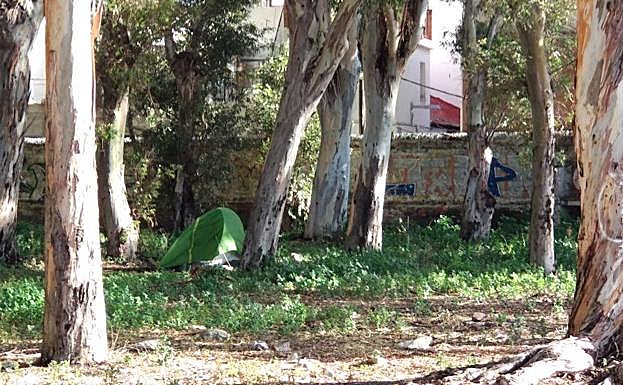 Tienda de campaña que apareció ayer entre los eucaliptos del antiguo camping. 