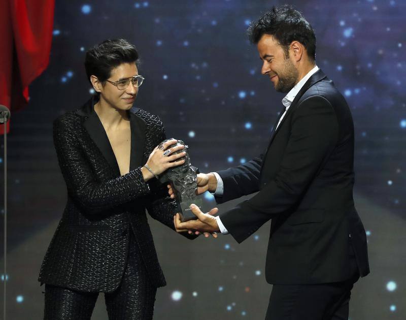 Las mejores imágenes de la alfombra roja y ceremonia de los premios de la Academia española de Cine en Sevilla. La 33ª edición de los premios Goya al cine español.