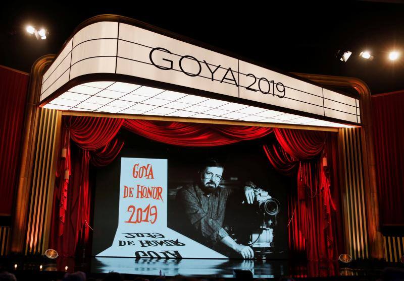 Las mejores imágenes de la alfombra roja y ceremonia de los premios de la Academia española de Cine en Sevilla. La 33ª edición de los premios Goya al cine español.