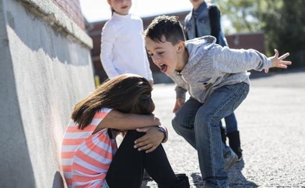 Crean en Málaga una Brigada Antiacoso para luchar contra el 'bullying' a través de un chat