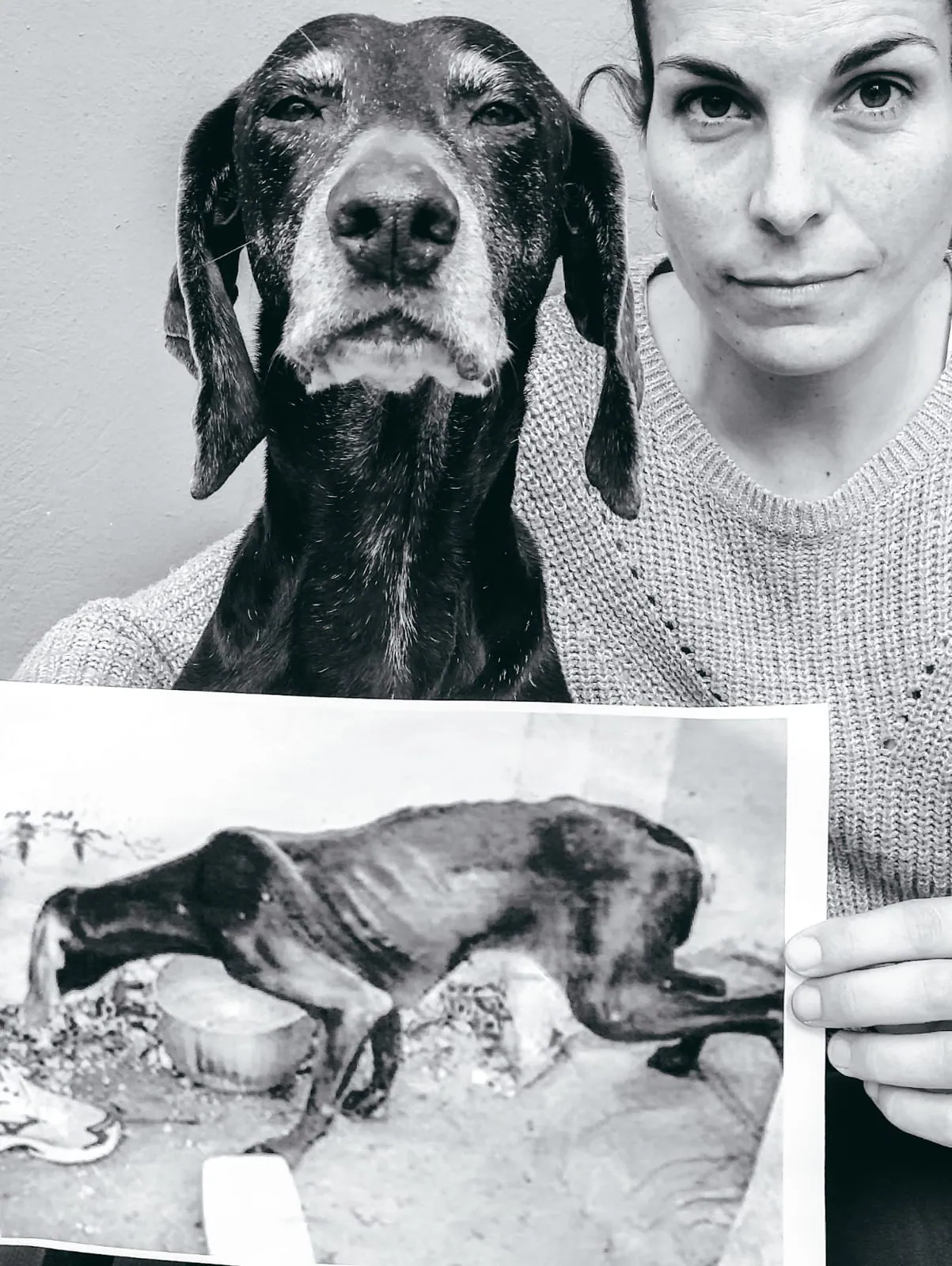 La historia de Petra: la perra de caza que Dana Cervantes salvó de morir abandonada