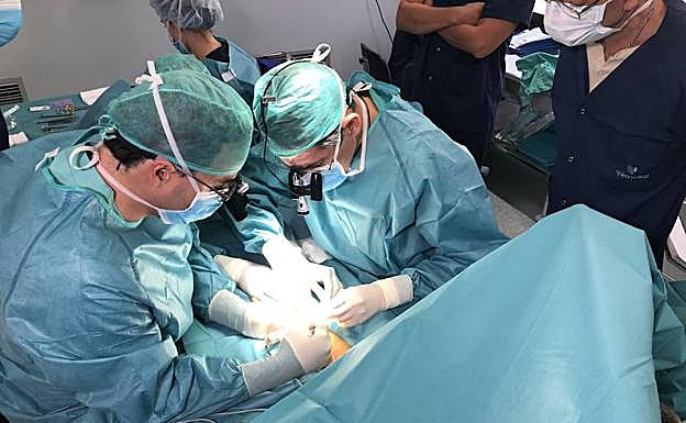 Imagen principal - Francisco Piñal y su equipo, en el quirófano de La Luz. Abajo, dos imágenes de dedos trasplantados del pie a la mano. 