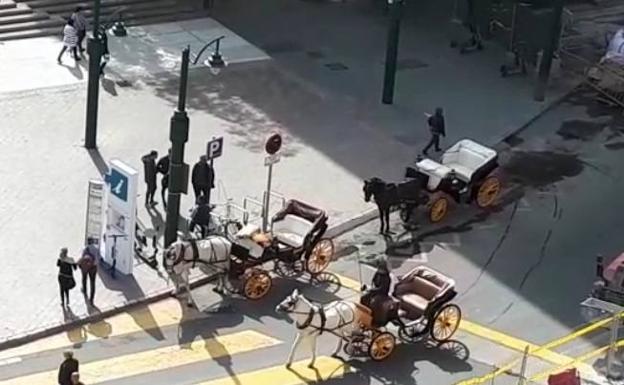 El Ayuntamiento anula una parada de coches de caballos por el ruido de las obras de la Alameda