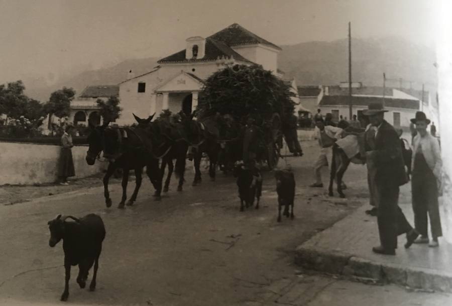 La editorial valenciana Onada Ediciones publica un libro en el que se recopilan más de medio centenar de fotos realizadas en un viaje a la localidad axárquica entre enero y abril de 1959
