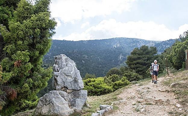 Vista de archivo de la Sierra de las Nieves, en Yunquera. 