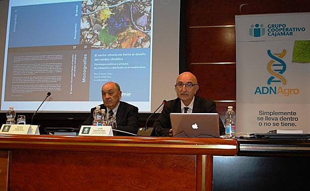 Cajamar edita una publicación sobre el vino frente al desafío del cambio climático