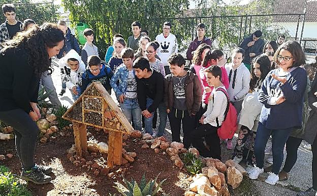 Estudiantes observan una de las 'casitas' preparadas para que se instalen los insectos.