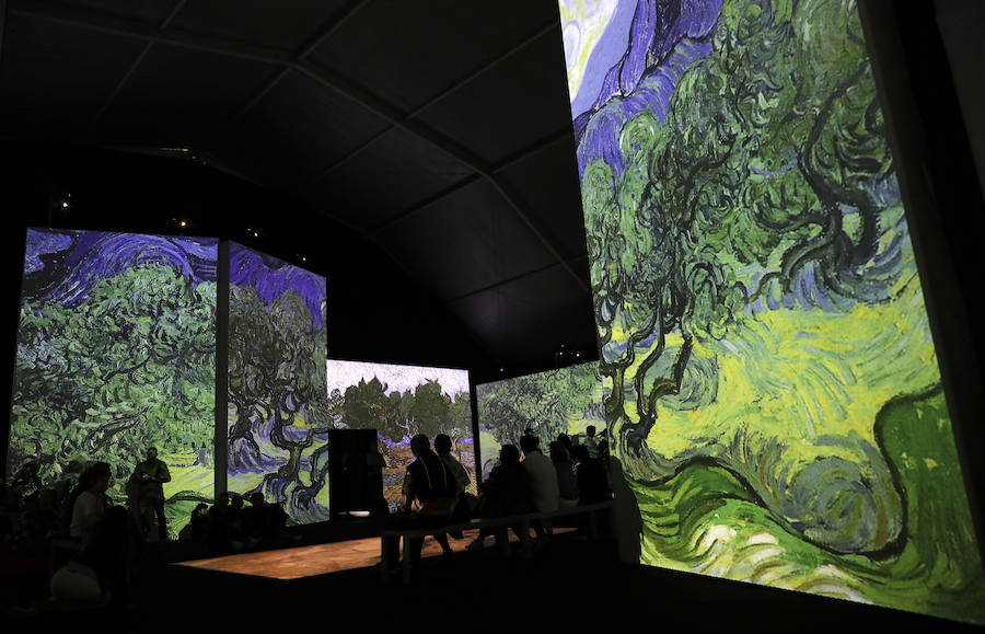 La muestra aterriza en la capital tras haber batido récord de visitantes en 45 ciudades de cuatro continentes