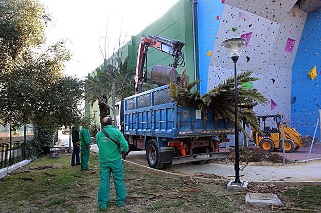 Trabajos en el entorno del polideportivo. 