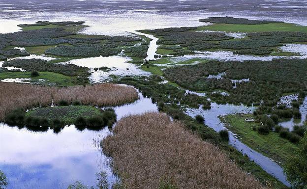 Vista de Doñana.