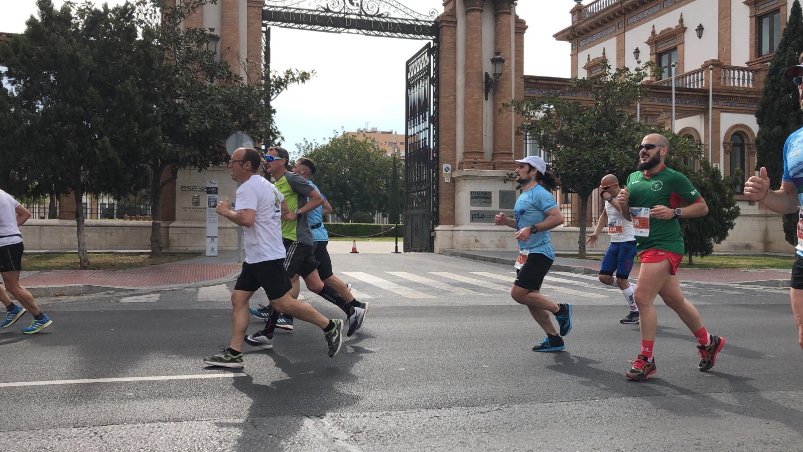 Más de 7.500 corredores participan en la 29ª edición de la Media Maratón Ciudad de Málaga.