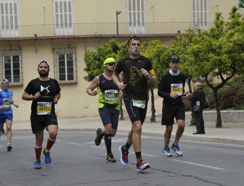 Más de 7.500 corredores participan en la 29ª edición de la Media Maratón Ciudad de Málaga.