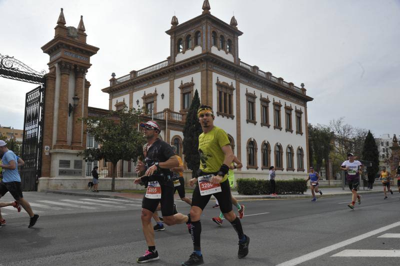 Más de 7.500 corredores participan en la 29ª edición de la Media Maratón Ciudad de Málaga.