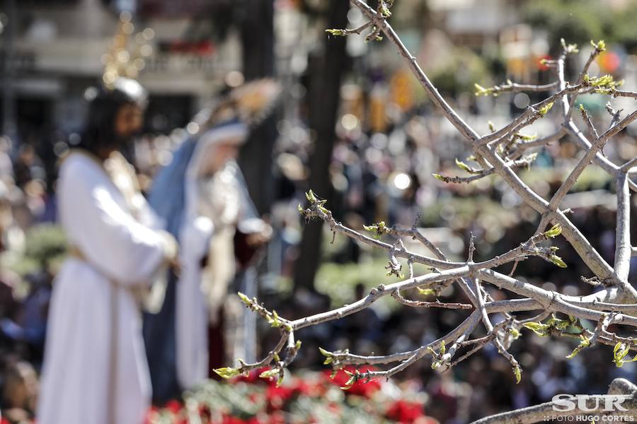 Las mejores imágenes de la misa del alba, el acto en el Hospital Civil y el recorrido por la Trinidad de los titulares de la Cofradía del Cautivo y La Trinidad este 2019.