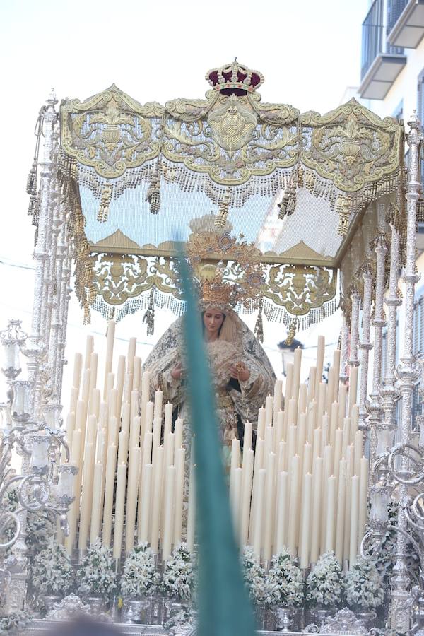 Fotos: El Domingo de Ramos de la Semana Santa de Málaga 2019, en imágenes