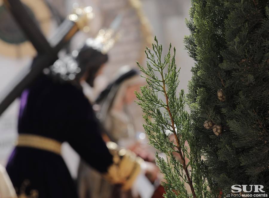 Fotos: El Domingo de Ramos de la Semana Santa de Málaga 2019, en imágenes