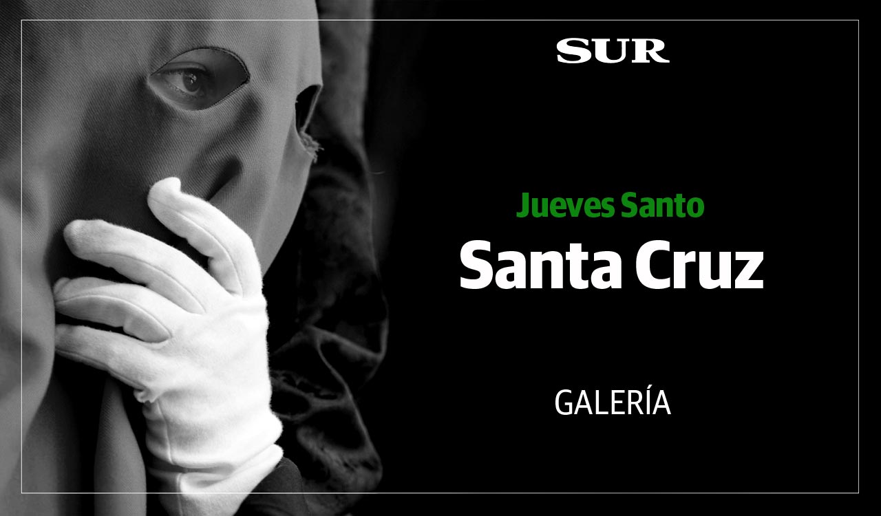 Las fotos de las cofradías del Jueves Santo: Sagrada Cena, Santa Cruz, Viñeros, Vera Cruz, Zamarrilla, Mena, Misericordia, Esperanza.