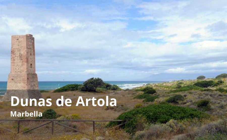 También la Costa del Sol Occidental puede presumir de tener su propio monumento natural. Se trata, en este caso, de una atípica formación dunar, que es, en realidad, un reducto de un cordón que en su día tuvo unos veinte kilómetros de longitud. Este enclave se encuentra junto a la playa de Cabopino, en la zona más oriental de la costa marbellí. Además de tres tipos de dunas y una cómoda ruta de senderismo muy bien señalizada, en este enclave se puede ver también un interesante vestigio medieval, la conocida como Torre de los Ladrones, protegida hoy como Bien de Interés Cultural. Muy cerca de este enclave se encuentra el puerto deportivo de Cabopino.