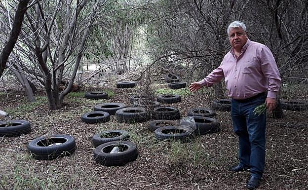 Imagen principal - Eran cerca de 600 gomas. El solar y los contenedores. Abunda la vegetación.