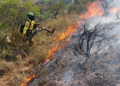 Imagen secundaria 1 - Extinguido el incendio agrícola en Guaro