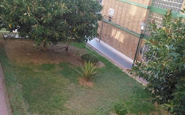 Piden el cuidado de unos jardines en Carretera de Cádiz