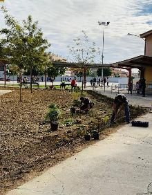Imagen secundaria 2 - Trabajos de replanteo, reuniones con los estudiantes y plantación de la nueva vegetación. 