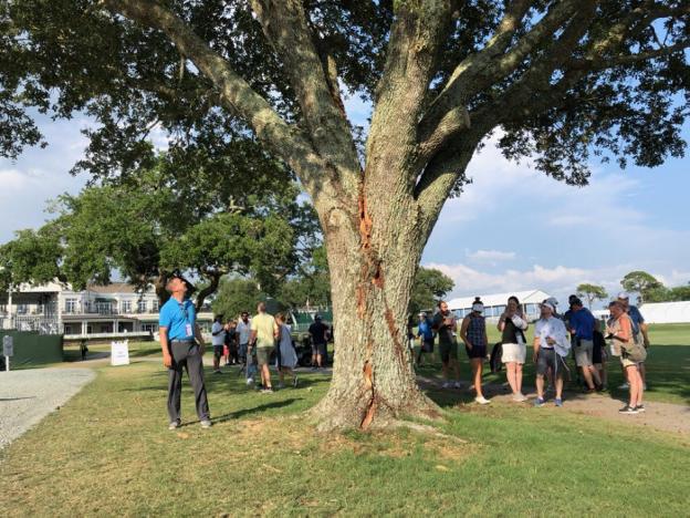 UN RAYO PARTE UN ÁRBOL EN EL US OPEN