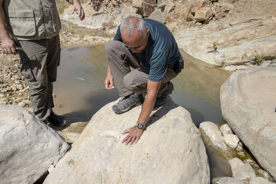Fotos: Gerard Gierlinski, en su visita a Álora