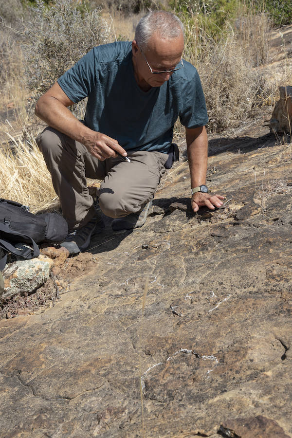 Fotos: Gerard Gierlinski, en su visita a Álora