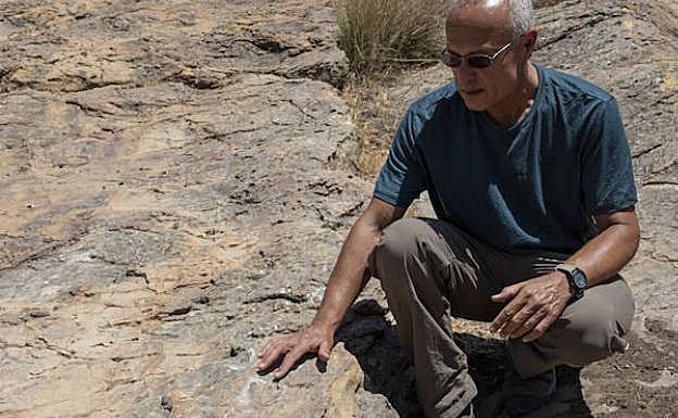 El paleontólogo Gerard Gierlinski señala una de las huellas que podrían pertenecer a un bípedo. 