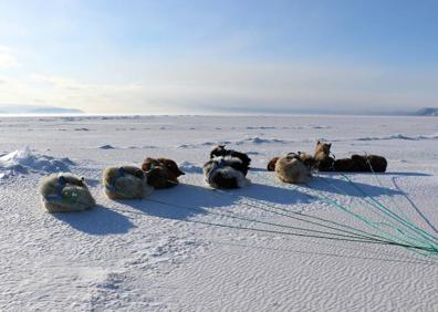 Imagen secundaria 1 - Fotos del Deafío Ártico de Manuel Calvo
