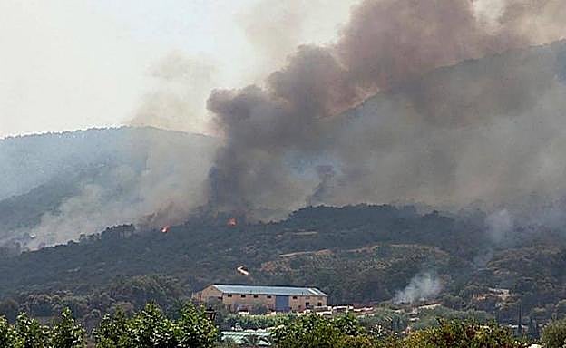 Incendio declarado en el municipio de Almorox en Toledo