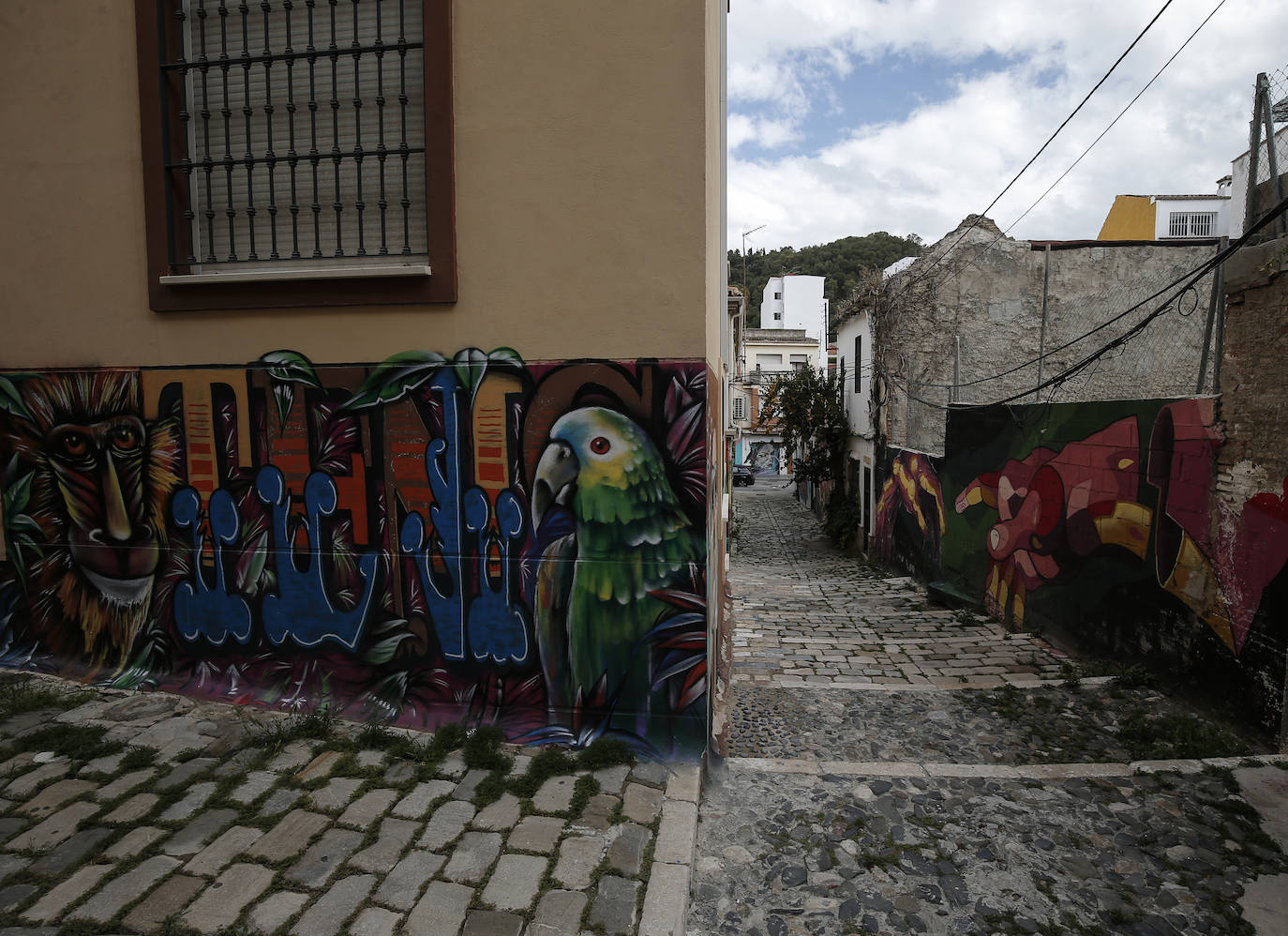 Fotos: Los mejores grafitis de Lagunillas, al detalle