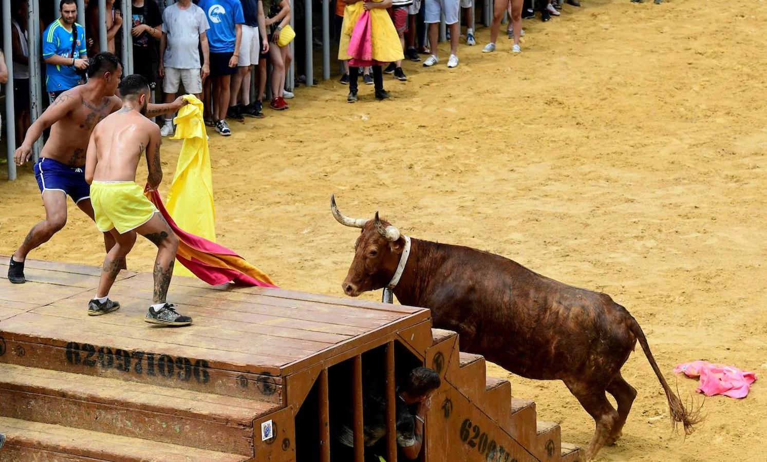 Las actividades durante la corrida tradicional de toros «Bous a la mar»(toros en el mar) en el puerto de Denia, cerca de Alicante, el 8 de julio de 2019. 