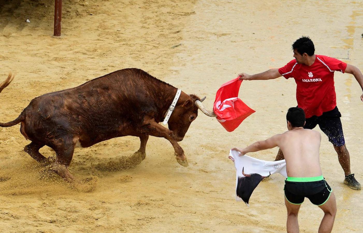 Las actividades durante la corrida tradicional de toros «Bous a la mar»(toros en el mar) en el puerto de Denia, cerca de Alicante, el 8 de julio de 2019. 