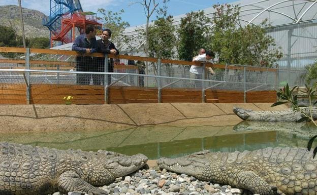 Sitios donde ir con los niños este verano en la Costa del Sol Occidental |  Diario Sur