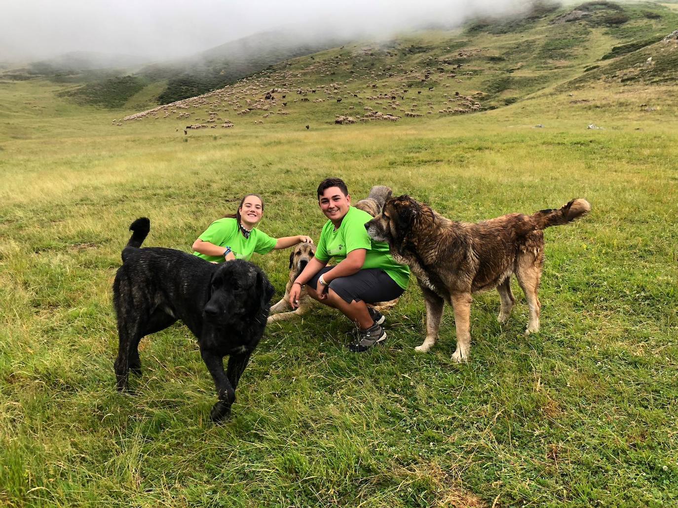 Cinco jóvenes malagueños que han superado el cáncer concluyen la 'Primera Aventura Trashumante entre Lobos y Mastines'