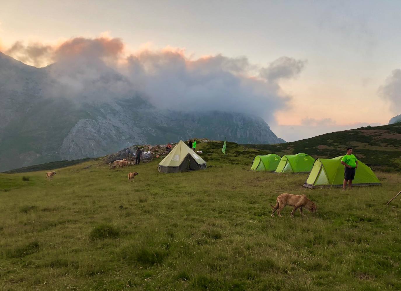Cinco jóvenes malagueños que han superado el cáncer concluyen la 'Primera Aventura Trashumante entre Lobos y Mastines'