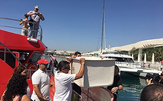 Imagen principal - Traslado de la tortuga. La tortuga, recuperada. Estado en el que se halló. 